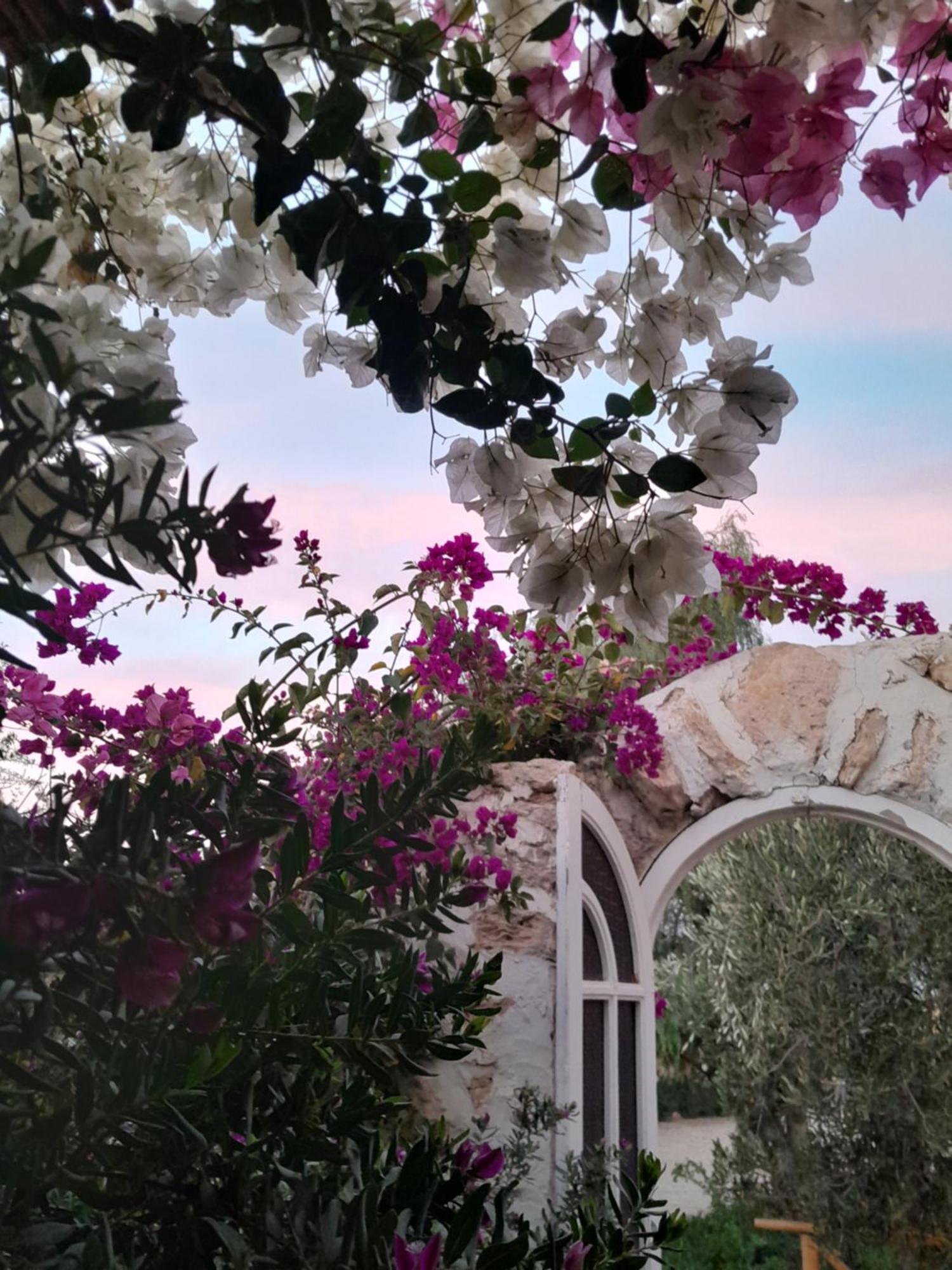 Riad Sanam Essaouira Eksteriør bilde