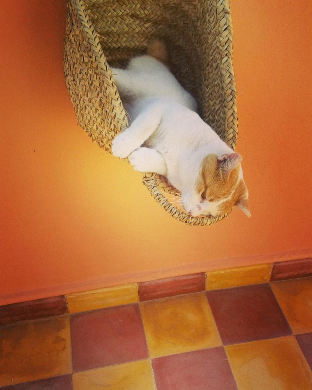 Riad Sanam Essaouira Eksteriør bilde